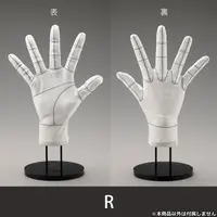 ARTIST SUPPORT ITEM - Kotobukiya Artist Support Item: Hand Model