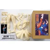 Resin Cast Assembly Kit - Garage Kit - Figure - Street Fighter / Chun-Li