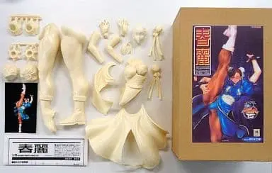 Resin Cast Assembly Kit - Garage Kit - Figure - Street Fighter / Chun-Li