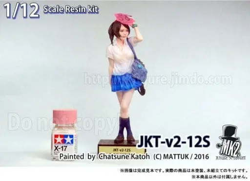 Resin Cast Assembly Kit - Figure - JK FIGURE Series