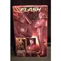 Figure - The Flash