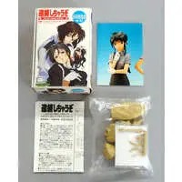 Resin Cast Assembly Kit - Figure - You're Under Arrest / Kobayakawa Miyuki