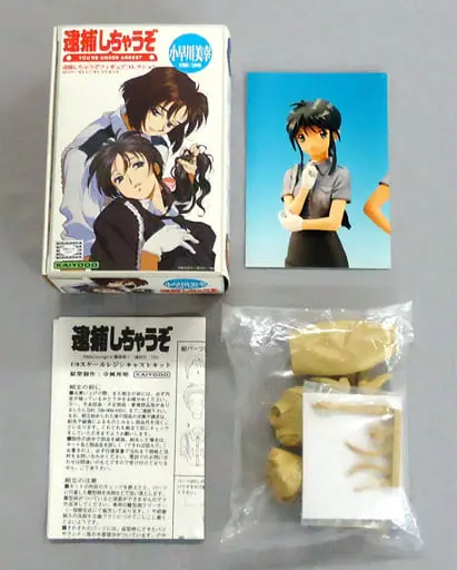 Resin Cast Assembly Kit - Figure - You're Under Arrest / Kobayakawa Miyuki