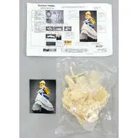 Resin Cast Assembly Kit - Leticia La Mew Symphonia (Leticia Apple) 'Princess Holiday～Korogaru Ringotei Senya Ichiya～' Resin Cast Kit Wonder Festival 2006 Summer Limited & Event Limited