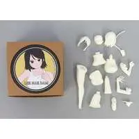 Resin Cast Assembly Kit - Lee Nae Dam Resin Cast Kit