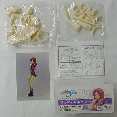 Resin Cast Assembly Kit - Figure - Mobile Suit Gundam SEED / Flay Allster