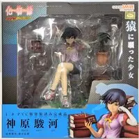 Figure - Bakemonogatari / Kanbaru Suruga