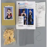 Resin Cast Assembly Kit - Figure - Dead or Alive / Leifang