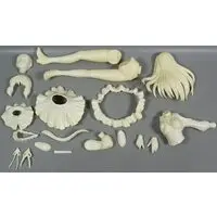Figure - Garage Kit - Resin Cast Assembly Kit - Macross series / Lynn Minmay
