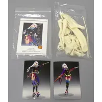 Resin Cast Assembly Kit - Figure - Katanagatari