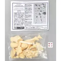 Garage Kit - Figure - Fate/Grand Order / Astolfo (Fate series)