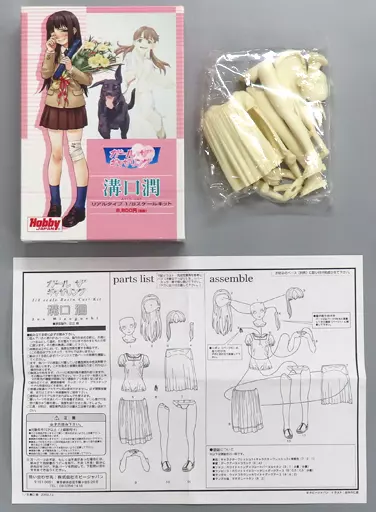 Garage Kit - Mizoguchi Jun Real Type 'Girl the Gathering' Garage Kit