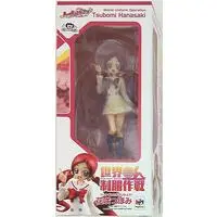 Figure - Pretty Cure series