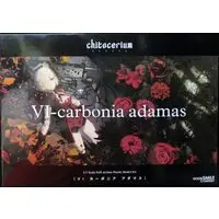 Plastic model - Chitocerium