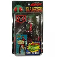 Figure - Kamen Rider Series