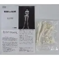 Garage Kit - Figure - Dead or Alive / Kasumi
