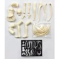 Figure - Garage Kit - Resin Cast Assembly Kit - Fate/stay night / Medusa (Rider)