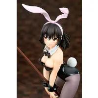 Strike the Blood Yukina Himeragi Bunny Girl Style 1/7 Complete Figure