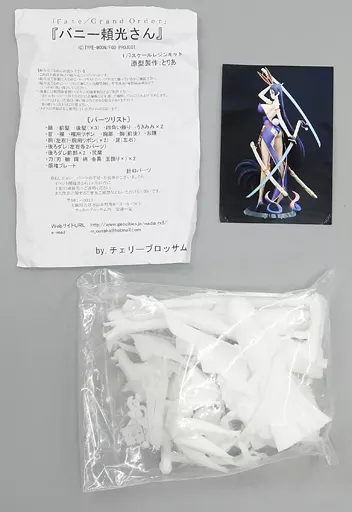 Figure - Resin Cast Assembly Kit - Garage Kit - Fate/Grand Order / Minamoto no Raikou (Fate series)