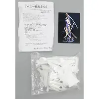 Figure - Resin Cast Assembly Kit - Garage Kit - Fate/Grand Order / Minamoto no Raikou (Fate series)