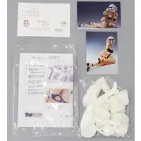 Garage Kit - Resin Cast Assembly Kit - Azur Lane / Sirius - Swimsuit