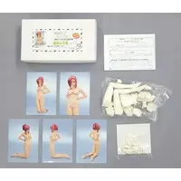 Garage Kit - Figure - Resin Cast Assembly Kit - Onegai☆Teacher (Please Teacher!) / Kazami Mizuho