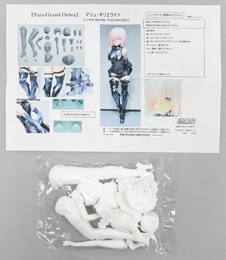 Garage Kit - Figure - Fate/Grand Order / Mash Kyrielight