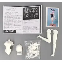 Figure - Garage Kit - Fate/Grand Order / Mash Kyrielight