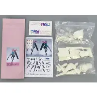Garage Kit - Blue Archive / Takanashi Hoshino