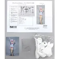 Garage Kit - Figure - Fate/Grand Order / Mash Kyrielight