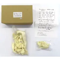 Garage Kit - Figure - Dead or Alive / Kasumi