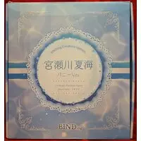 Figure - Ulrich - Bunny Costume Figure