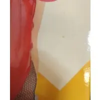 Figure - The Melancholy of Haruhi Suzumiya / Asahina Mikuru