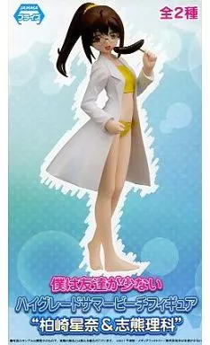 Figure - Prize Figure - Haganai / Shiguma Rika