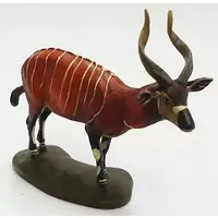 Figure - National Museum of Nature and Science