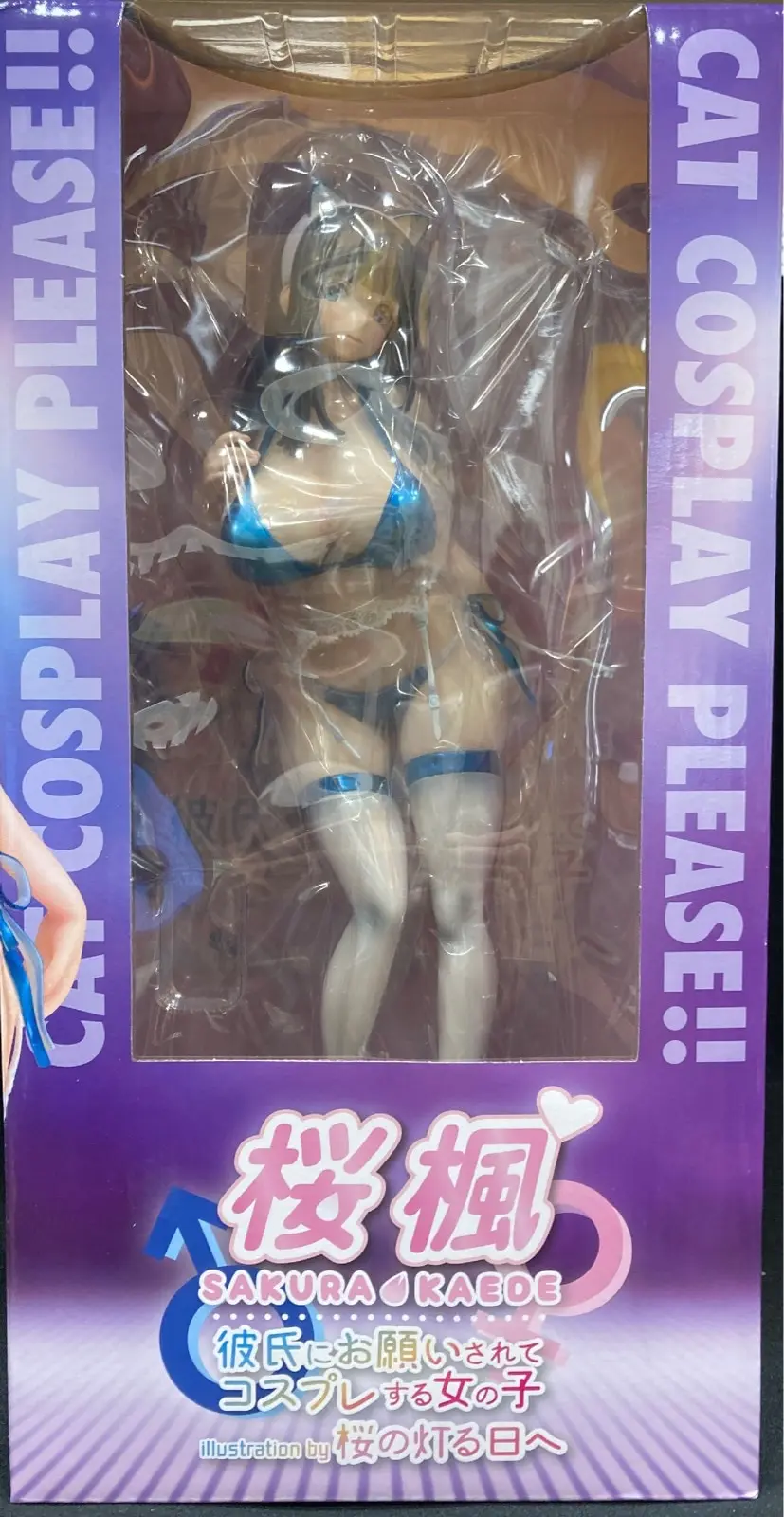 Figure - Kareshi ni Onegaisarete Cosplay suru Onnanoko