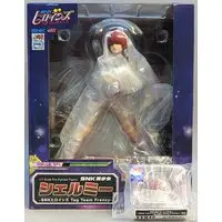 With Bonus - SNK Bishoujo Shermie / with purchase bonus, includes head part / -SNK Heroines Tag Team Frenzy-