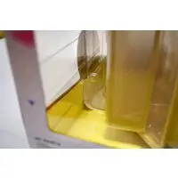 Figure - With Bonus - Kanojo, Okarishimasu (Rent-a-Girlfriend) / Mizuhara Chizuru