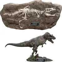 Figure - Wonders Of The Wild