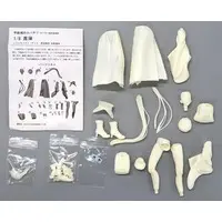 Figure - Garage Kit - Resin Cast Assembly Kit - Koutetsujou no Kabaneri (Kabaneri of the Iron Fortress)