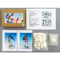 Garage Kit - Figure - Fate/Grand Order / Saint Martha (Fate Series)