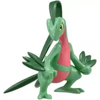 Pokemon Moncolle - Pokémon