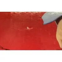 Figure - Prison School