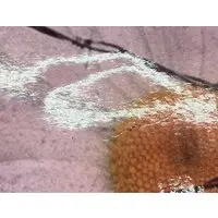 Figure - Prison School