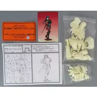 Garage Kit - Figure - Walkure Romanze / Ryuuzouji Akane