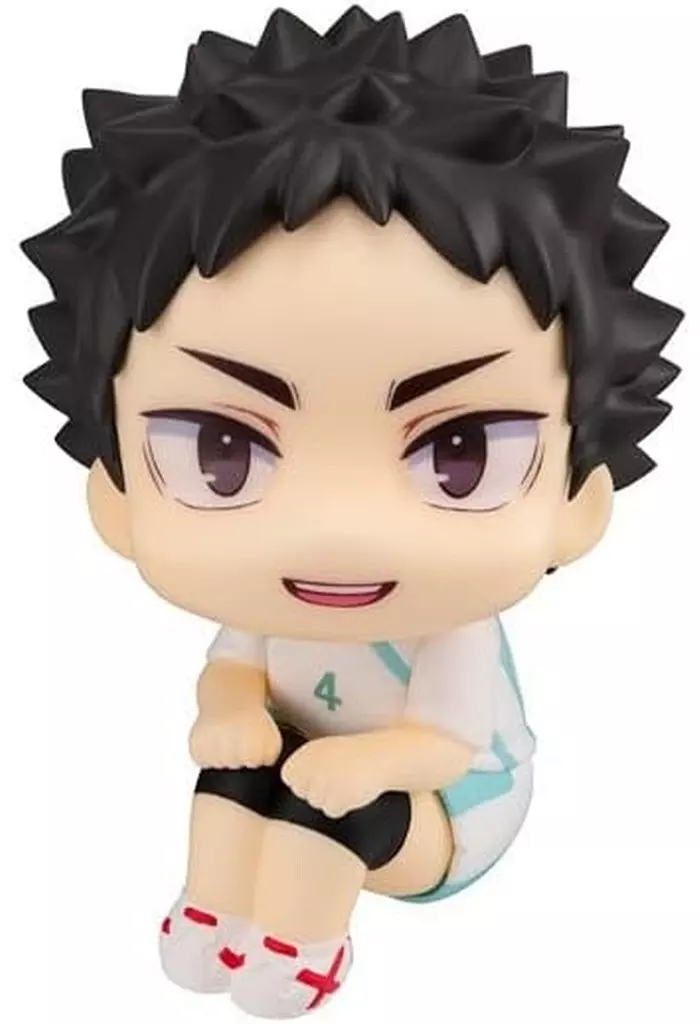 Lookup - Haikyu!! / Iwaizumi Hajime