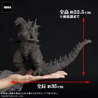 Figure - Godzilla series