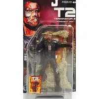 Figure - The Terminator