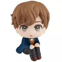 Lookup - Fantastic Beasts