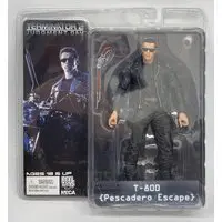 Figure - The Terminator